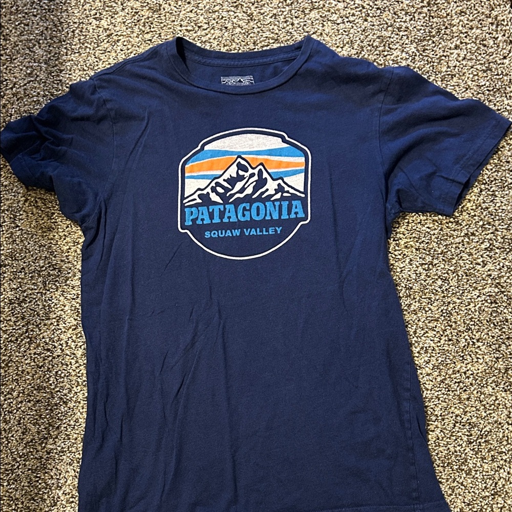 Patagonia Dark Blue Tee with Mountain Logo